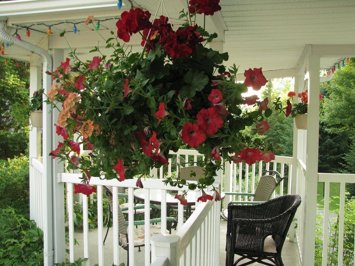 Arkadia Eastman B&B Exterior photo